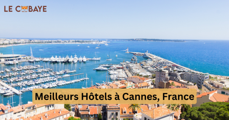 BEST HOTELS IN CANNES, FRANCE – A TRAVELER’S LIST