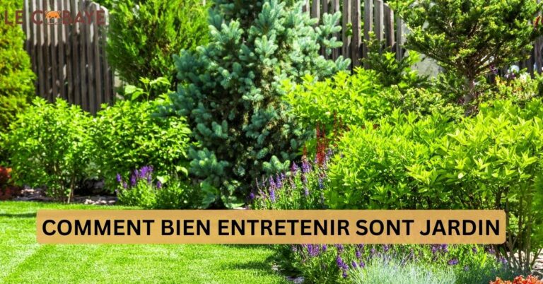 HOW TO PROPERLY MAINTAIN YOUR GARDEN
