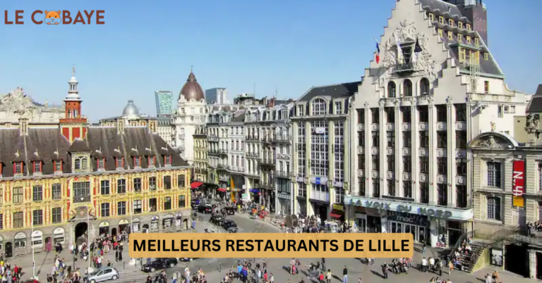 DISCOVER THE 10 BEST RESTAURANTS IN LILLE