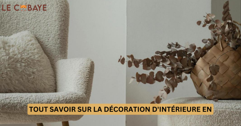 LEARN EVERYTHING ABOUT INTERIOR DECORATION IN 2024