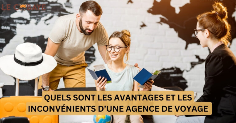 WHAT ARE THE ADVANTAGES AND DISADVANTAGES OF A TRAVEL AGENCY?