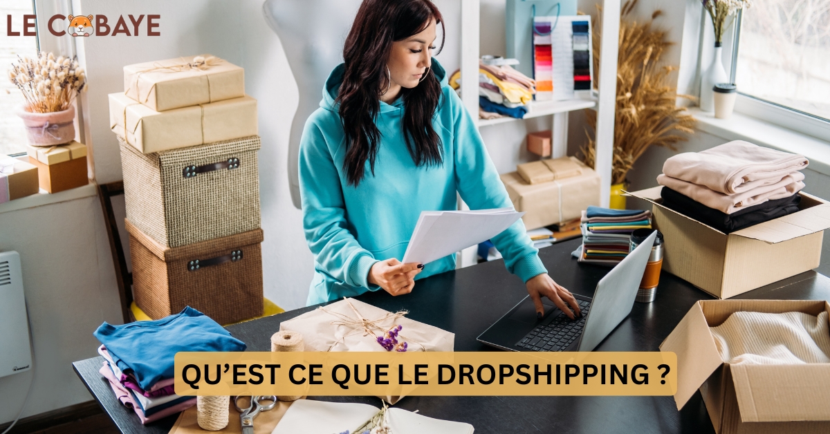 QU’EST CE QUE LE DROPSHIPPING ?