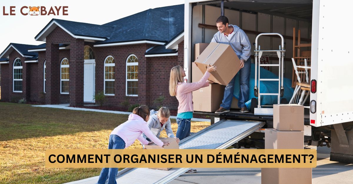 COMMENT ORGANISER UN DÉMÉNAGEMENT